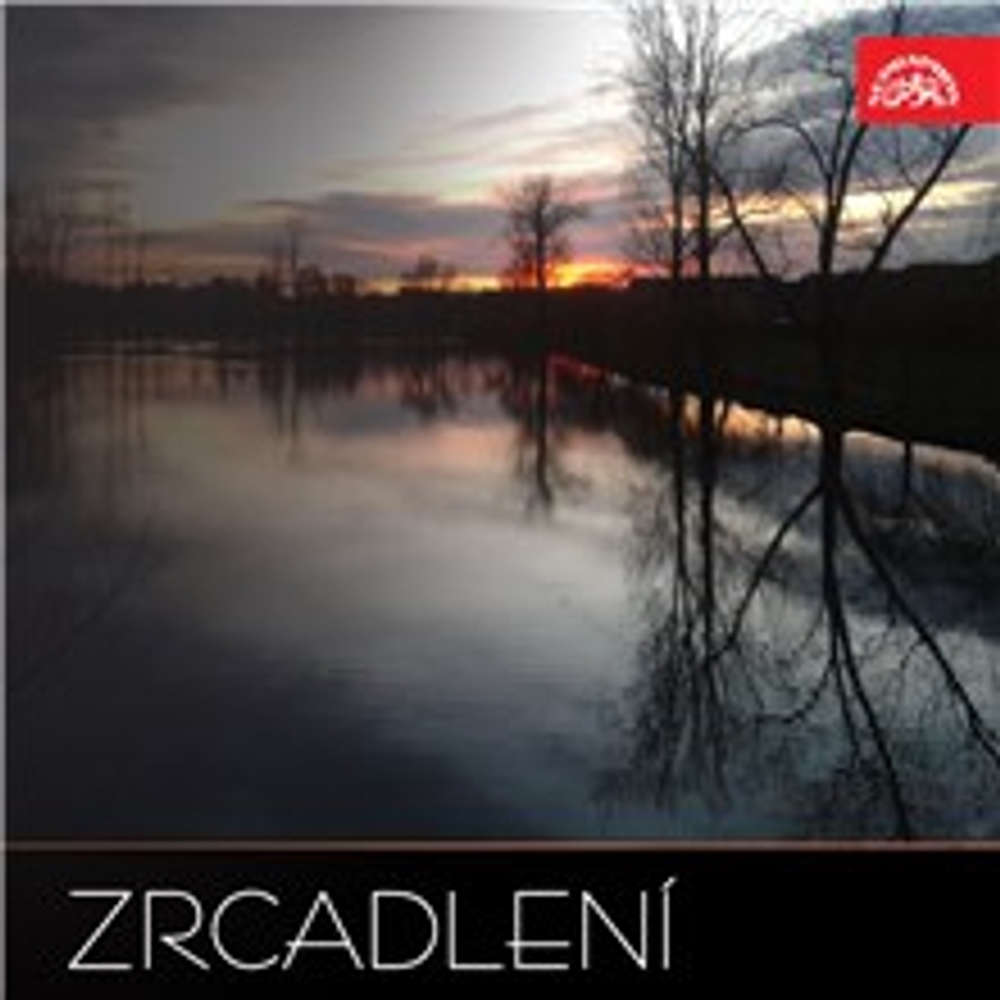 Obal audioknihy Zrcadlení