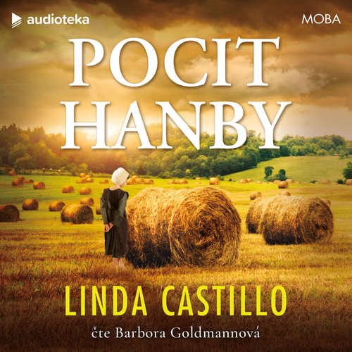 Audiokniha Pocit hanby - Linda Castillo - Barbora Goldmannová