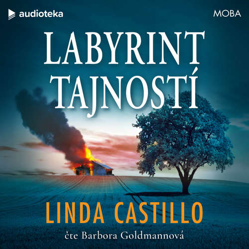 Audiokniha Labyrint tajností - Linda Castillo - Barbora Goldmannová