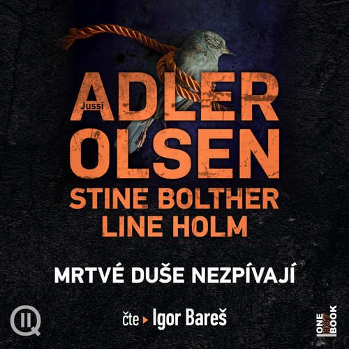 Audiokniha Mrtvé duše nezpívají - Jussi Adler-Olsen - Igor Bareš