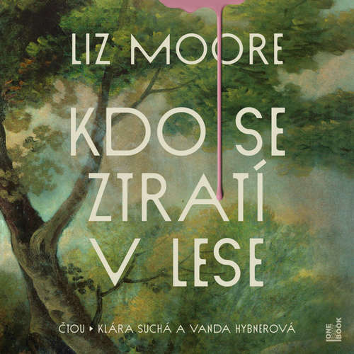 Audiokniha Kdo se ztratí v lese - Liz Moore - Vanda Hybnerová