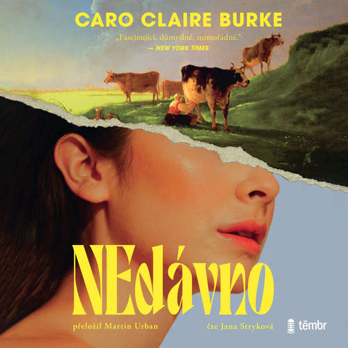 Audiokniha NEdávno - Caro Claire Burke - Jana Stryková
