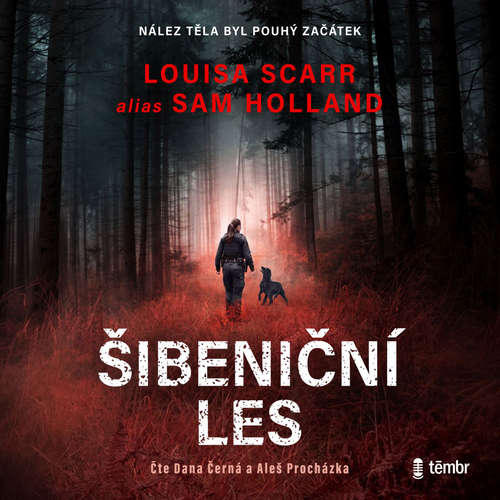 Audiokniha Šibeniční les - Sam Holland - Dana Černá