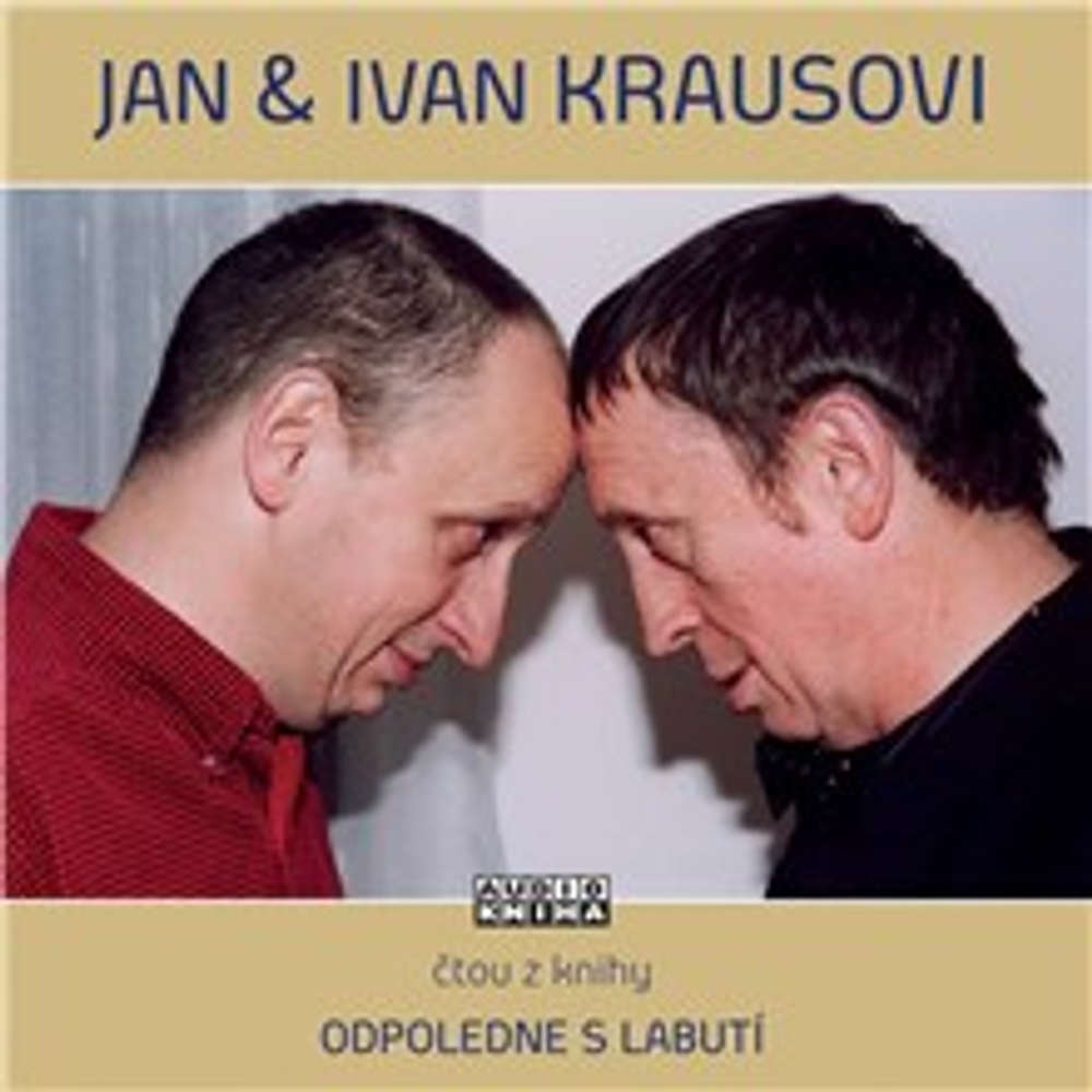 Obal audioknihy Odpoledne s labutí