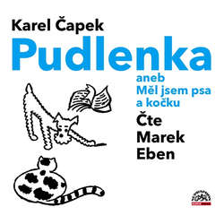 Mladý eben mačička pics
