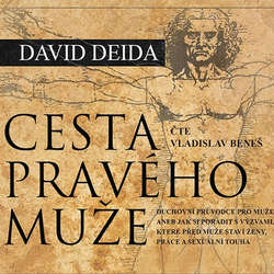 Audiokniha Cesta pravého muže - David Deida - Vladislav Beneš