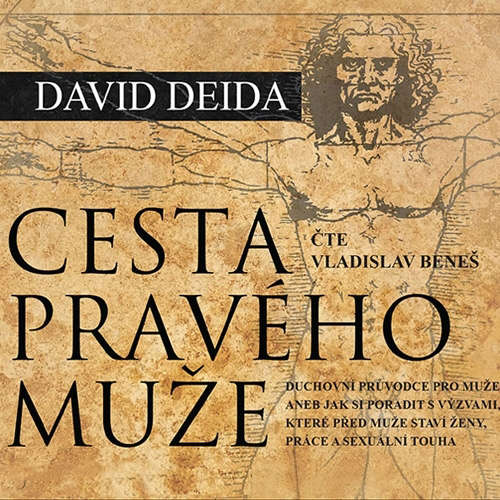Audiokniha Cesta pravého muže - David Deida - Vladislav Beneš
