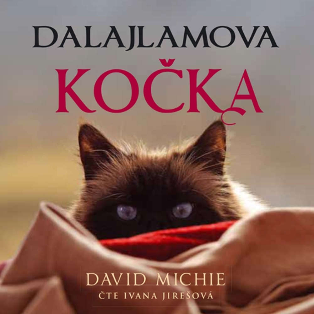 jemné těsné kočička