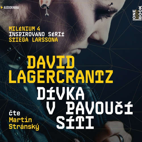 Audiokniha Dívka v pavoučí síti - Milénium IV - David Lagercrantz - Martin Stránský Audiokniha Dívka v pavoučí síti - Milénium IV - David Lagercrantz - Martin Stránský