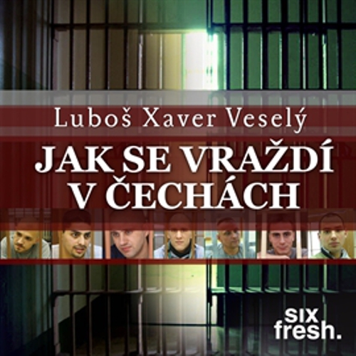 Jak se vraždí v Čechách