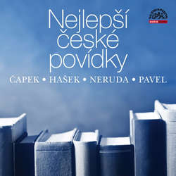 Audiokniha Nejlepší české povídky - Jan Neruda - Vojtěch Dyk