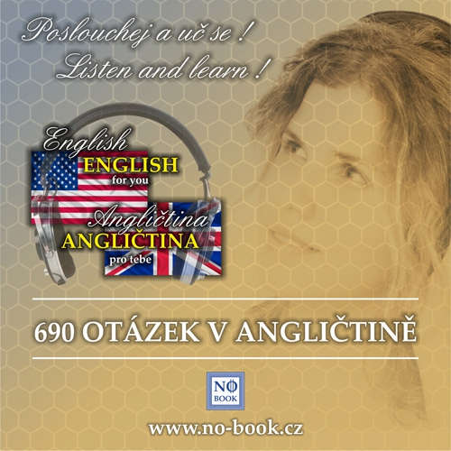 Audiokniha 690 otázek v angličtině - od začátečníků po středně pokročilé - Richard Ludvík - Richard Ludvík