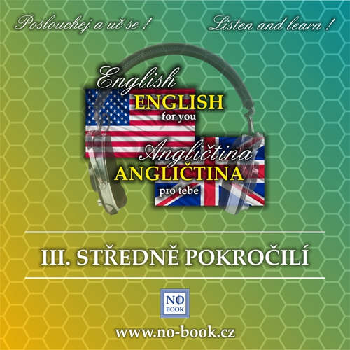 Audiobook Angličtina pro tebe 3 - středně pokročilí - Richard Ludvík - Richard Ludvík