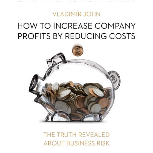 Audiobook How to increase company profits by reducing costs (EN) - Vladimír John - Rupert Degas