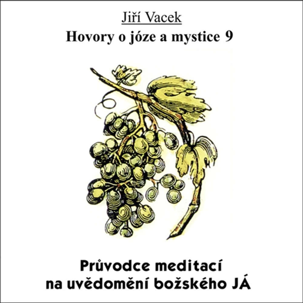 Obal audioknihy Hovory o józe a mystice 9