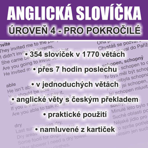Audiobook Anglická slovíčka - úroveň 4 pro pokročilé - Richard Ludvík - Richard Ludvík Audiobook Anglická slovíčka - úroveň 4 pro pokročilé - Richard Ludvík - Richard Ludvík