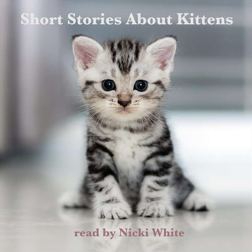 Obal audioknihy Short Stories About Kittens (EN)