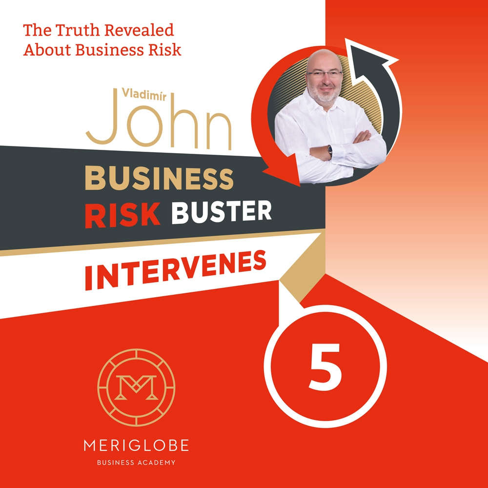 Obal audioknihy Business Risk Buster Intervenes 5