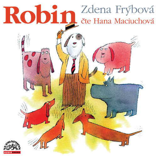 Audiokniha Robin - Zdena Frýbová - Hana Maciuchová Audiokniha Robin - Zdena Frýbová - Hana Maciuchová