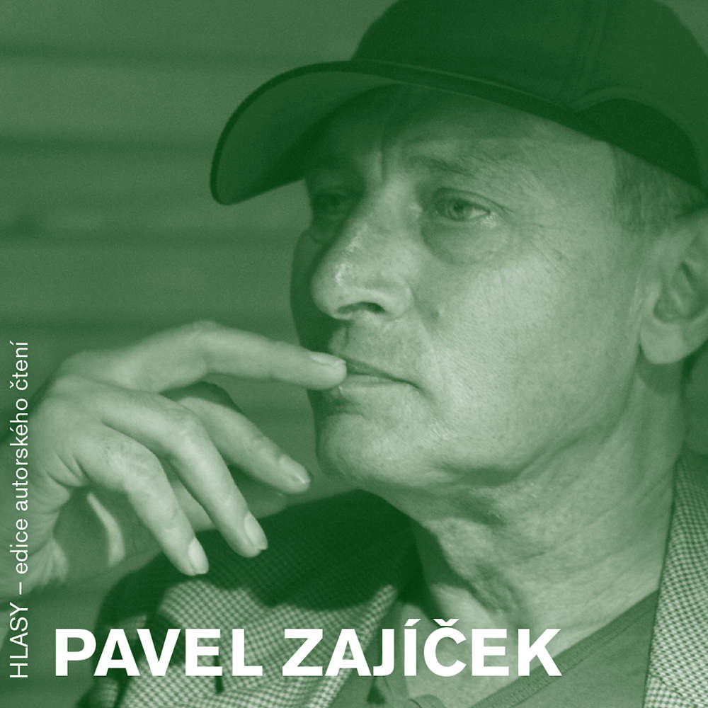 Obal audioknihy HLASY - Pavel Zajíček