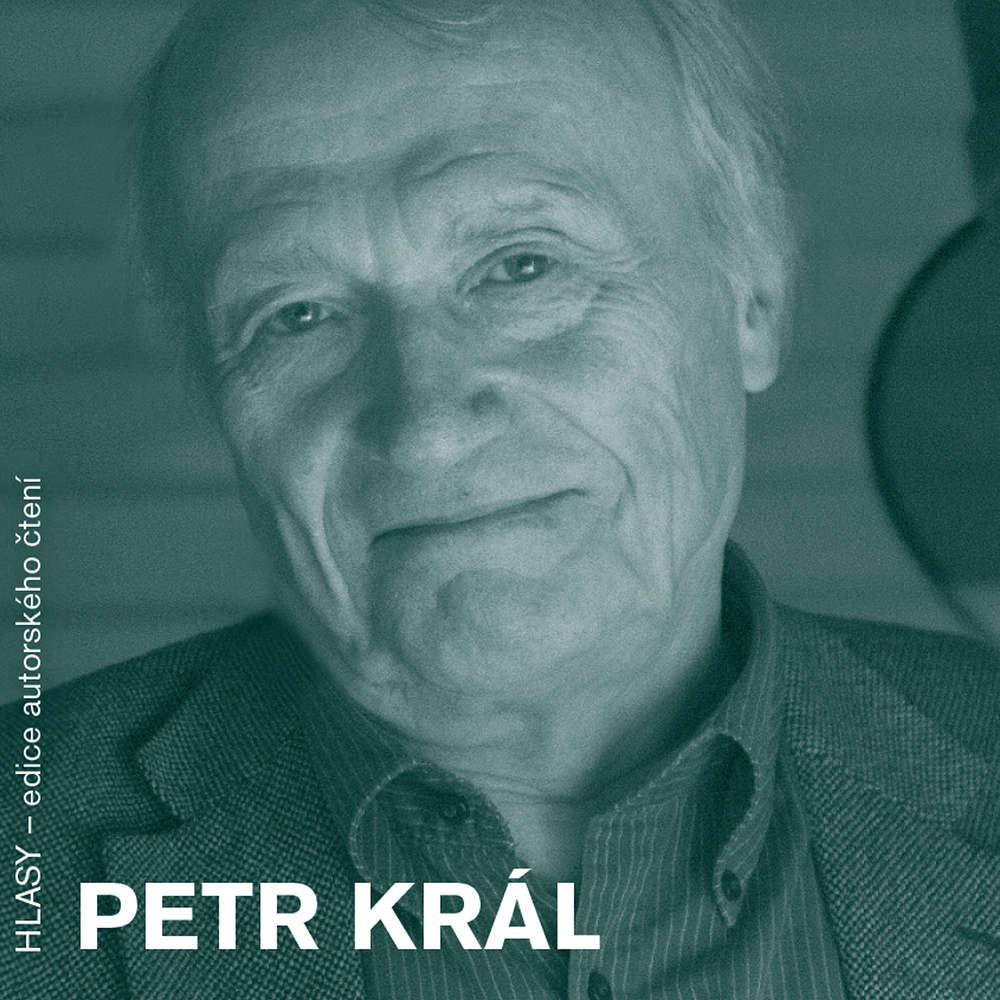 Obal audioknihy HLASY - Petr Král