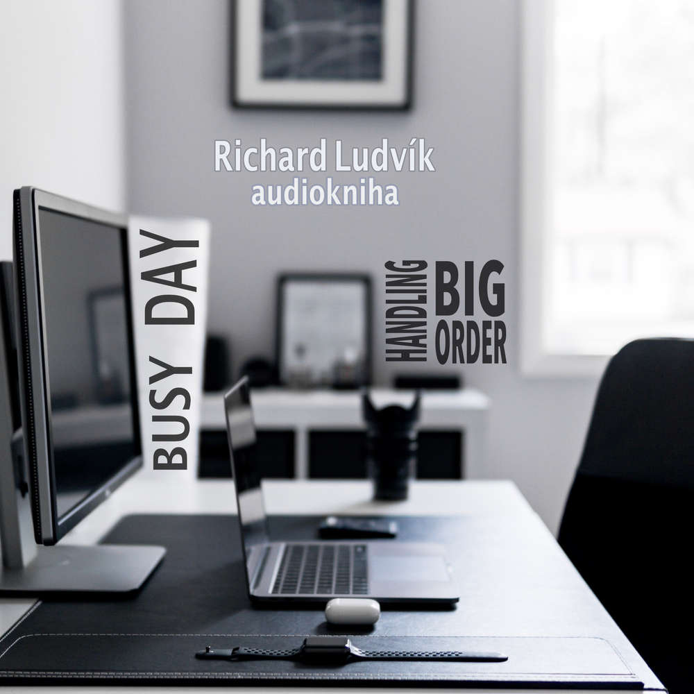 Obal audioknihy Busy Day - Handling Big Order