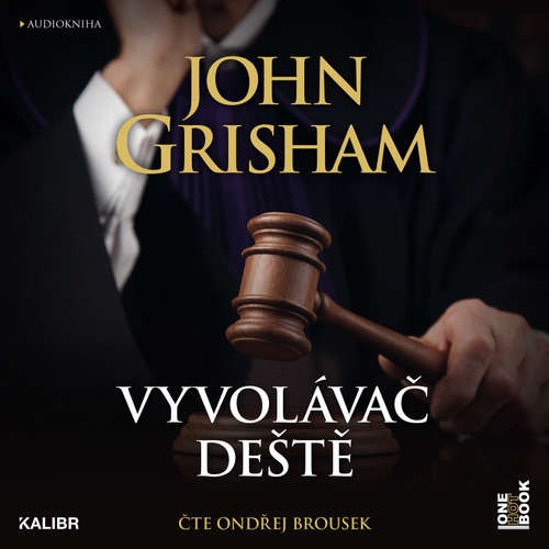Vyvolávač deště