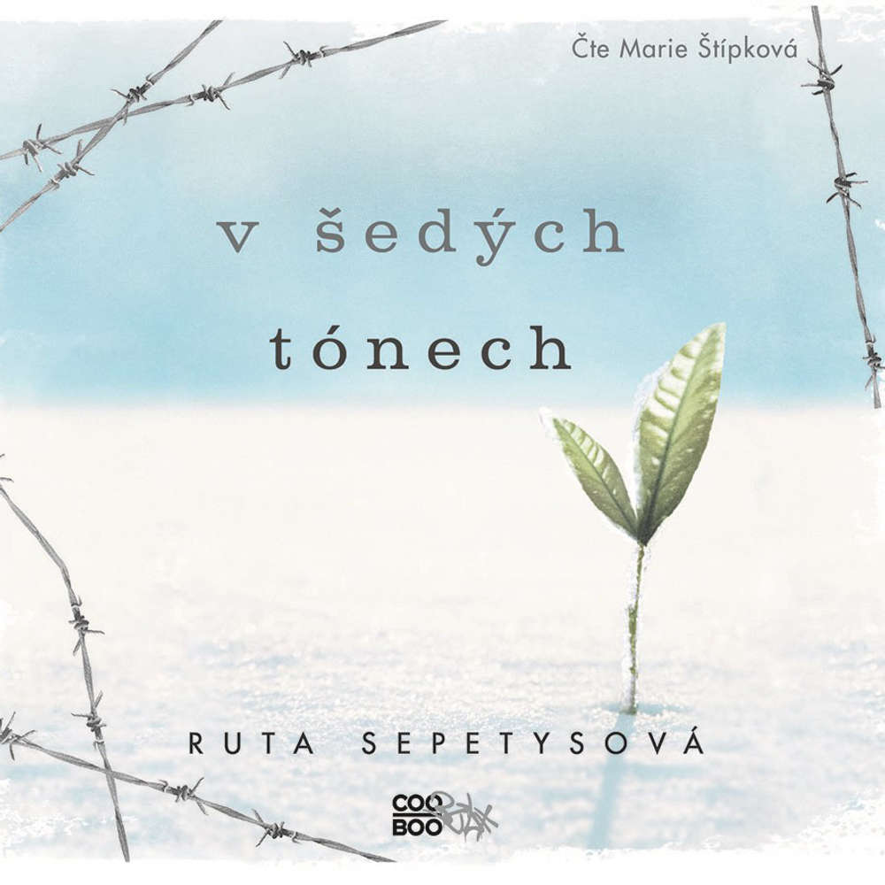 Obal audioknihy V šedých tónech