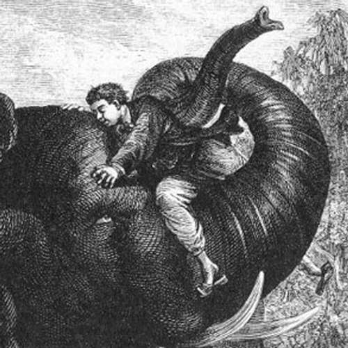 Audiokniha Cesta kolem světa za osmdesát dní - Jules Verne - Rudolf Hrušínský Audiokniha Cesta kolem světa za osmdesát dní - Jules Verne - Rudolf Hrušínský