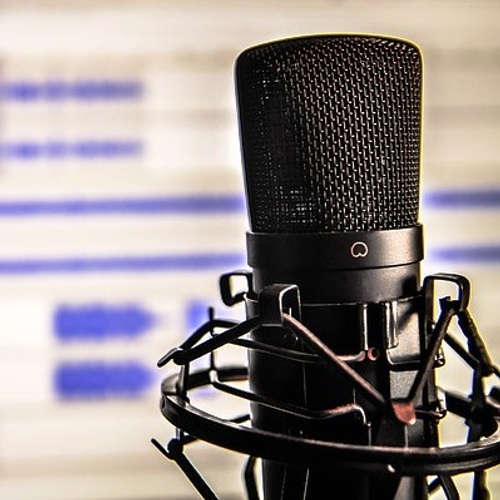 Audiokniha Hříchy pro posluchače rozhlasu 8 - Aktuální reportáž - Jiří Hubička - Taťjana Medvecká