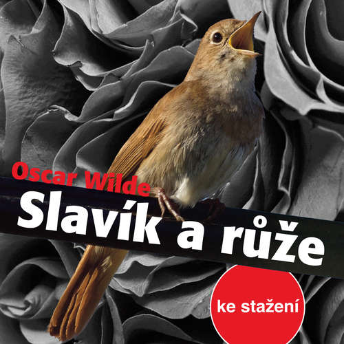 Audiokniha Slavík a růže - Oscar Wilde - Rudolf Hrušínský Audiokniha Slavík a růže - Oscar Wilde - Rudolf Hrušínský
