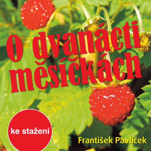 Audiokniha O dvanácti měsíčkách - Božena Němcová - Ladislav Županič