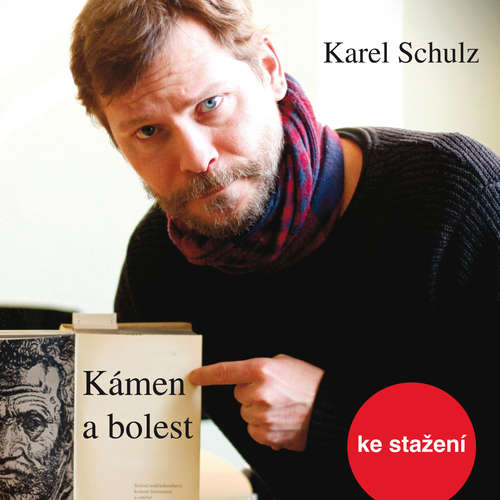 Audiokniha Kámen a bolest - Karel Schulz - Marek Holý Audiokniha Kámen a bolest - Karel Schulz - Marek Holý