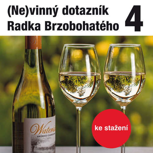 Audiokniha (Ne)vinný dotazník Radka Brzobohatého 4. - Radoslav Brzobohatý - Radoslav Brzobohatý Audiokniha (Ne)vinný dotazník Radka Brzobohatého 4. - Radoslav Brzobohatý - Radoslav Brzobohatý
