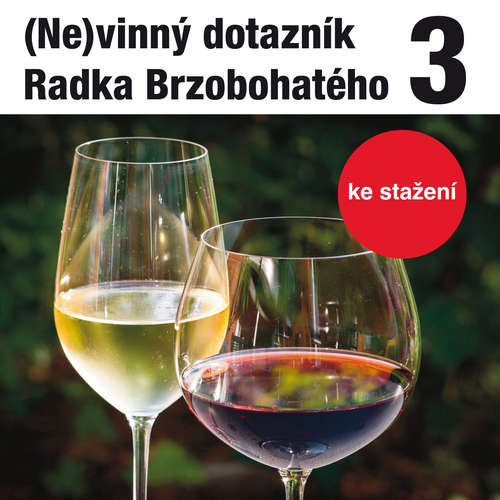 Audiokniha (Ne)vinný dotazník Radka Brzobohatého 3. - Radoslav Brzobohatý - Radoslav Brzobohatý Audiokniha (Ne)vinný dotazník Radka Brzobohatého 3. - Radoslav Brzobohatý - Radoslav Brzobohatý