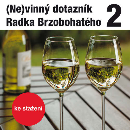 Audiokniha (Ne)vinný dotazník Radka Brzobohatého 2. - Radoslav Brzobohatý - Radoslav Brzobohatý Audiokniha (Ne)vinný dotazník Radka Brzobohatého 2. - Radoslav Brzobohatý - Radoslav Brzobohatý