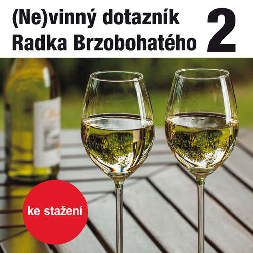 Audiokniha (Ne)vinný dotazník Radka Brzobohatého 2. - Radoslav Brzobohatý - Radoslav Brzobohatý