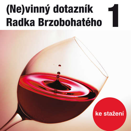 Audiokniha (Ne)vinný dotazník Radka Brzobohatého 1. - Radoslav Brzobohatý - Radoslav Brzobohatý Audiokniha (Ne)vinný dotazník Radka Brzobohatého 1. - Radoslav Brzobohatý - Radoslav Brzobohatý