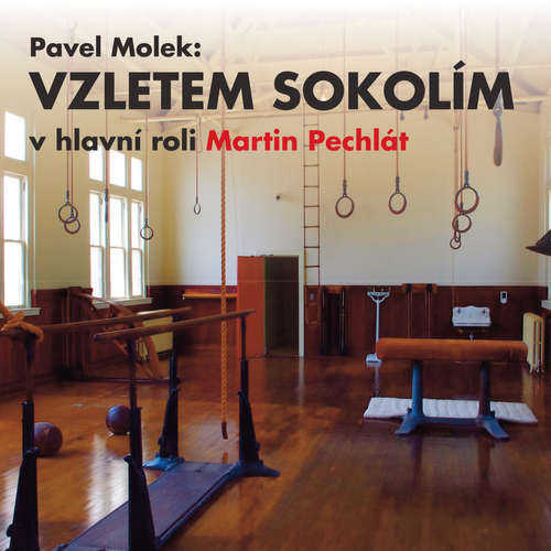 Audiokniha Vzletem sokolím - Pavel Molek - Kajetán Písařovic Audiokniha Vzletem sokolím - Pavel Molek - Kajetán Písařovic
