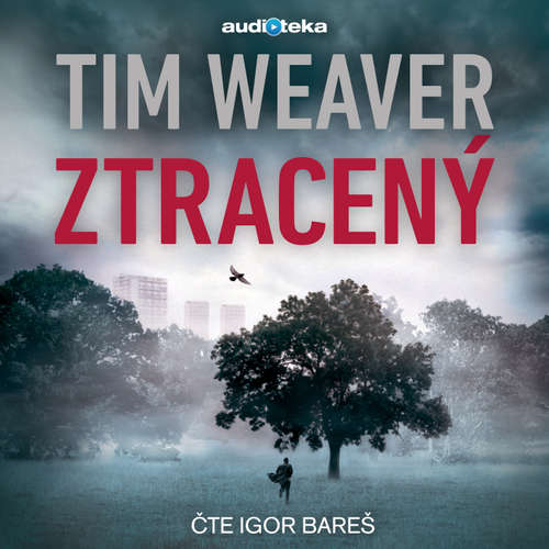 Audiokniha Ztracený - Tim Weaver - Igor Bareš Audiokniha Ztracený - Tim Weaver - Igor Bareš