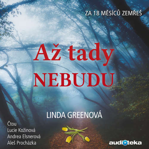 Audiokniha Až tady nebudu - Linda Greenová - Andrea Elsnerová Audiokniha Až tady nebudu - Linda Greenová - Andrea Elsnerová