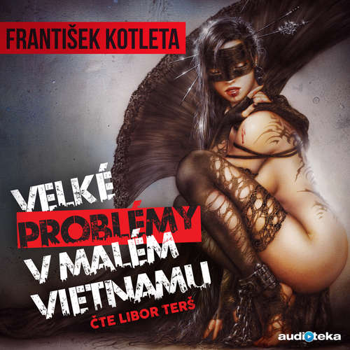 Audiokniha Velké problémy v malém Vietnamu - František Kotleta - Libor Terš
