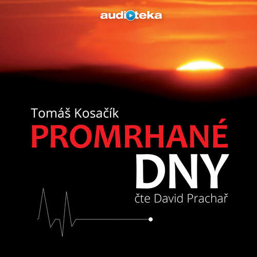 Audiokniha Promrhané dny - Tomáš Kosačík - David Prachař Audiokniha Promrhané dny - Tomáš Kosačík - David Prachař