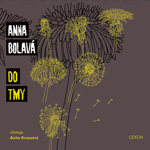Audiokniha Do tmy - Anna Bolavá - Anita Krausová Audiokniha Do tmy - Anna Bolavá - Anita Krausová