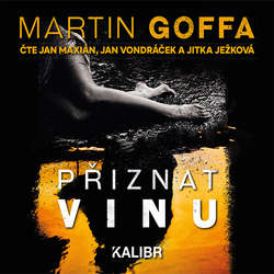 Audiokniha Přiznat vinu - Martin Goffa - Jitka Ježková