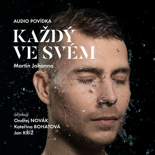 Audiokniha Každý ve svém - Martin Johanna - Ondřej Novák