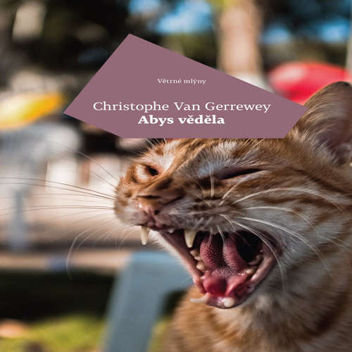 Audiokniha Abys věděla - Christophe Van Gerrewey - Mark Kristián Hochman Audiokniha Abys věděla - Christophe Van Gerrewey - Mark Kristián Hochman