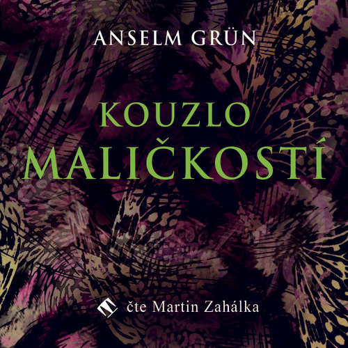 Audiokniha Kouzlo maličkostí - Anselm Grün - Martin Zahálka Audiokniha Kouzlo maličkostí - Anselm Grün - Martin Zahálka