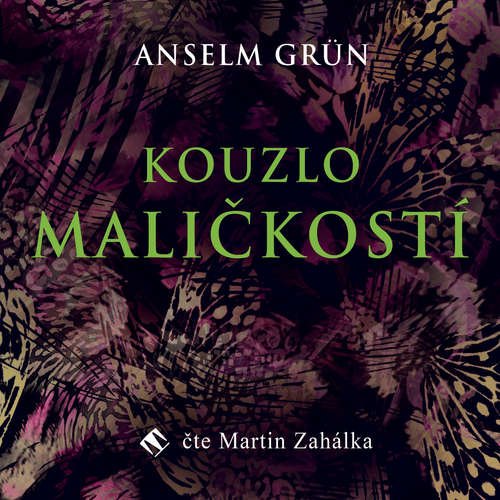 Audiokniha Kouzlo maličkostí - Anselm Grün - Martin Zahálka