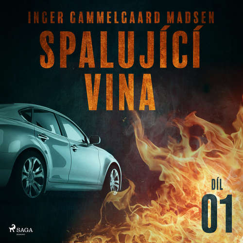 Audiokniha Spalující vina - Díl 1 - Inger Gammelgaard Madsen - Libor Terš Audiokniha Spalující vina - Díl 1 - Inger Gammelgaard Madsen - Libor Terš